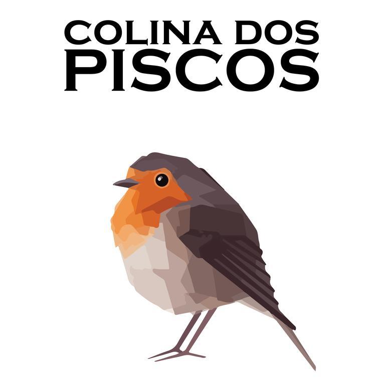 Colina Dos Piscos 호텔 Casais da Abadia 외부 사진