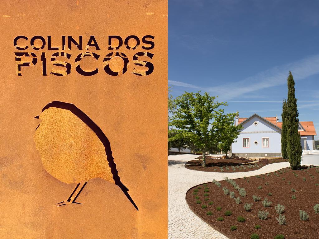 Colina Dos Piscos 호텔 Casais da Abadia 외부 사진